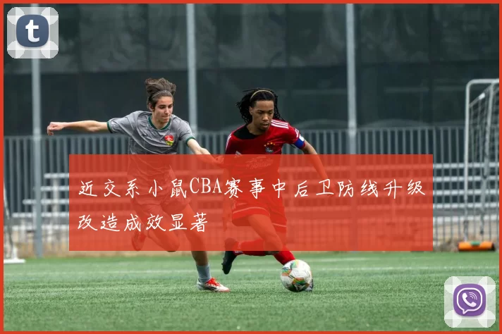 近交系小鼠CBA赛事中后卫防线升级改造成效显著